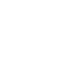 hahn automobile
